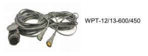 wpt 12.13 600.450.jpg